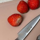 지에스도루코 | 신혼살림 칼 추천- 글로벌나이프 GS-3, GS-38 내돈내산 4개월 사용 후기, 시모무라 채칼 3mm