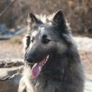 옛날옛적에 이미지