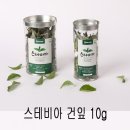 백프로식품
