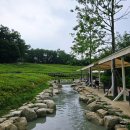 노원동화타운경로당 | 서울 노원 불암산 나비정원 계곡 주차 물놀이 수국 나비공원 후기