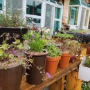 솔향기민박 이미지