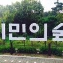 사옥도 이미지