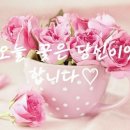 대경맘 이미지