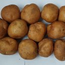 ‘땅 속의 사과’인 여름철 제철 식품 감자의 효능과 약효 이미지