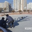 이도인력 이미지