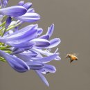 브니엘공인중개사사무소 이미지