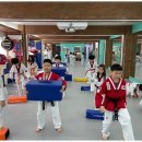 태아일체 다온태권도장 | 태권도추천 모든 아이가 웃는 다온태권도 체험기