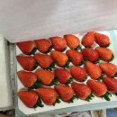 딸기에서 아삭한 소리가 난다? 신품종 비타베리 구매하고 먹어봤다!🍓🍓🍓 이미지