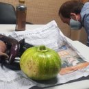 FM당구클럽 네이버블로그