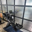 웰핏헬스클럽 이미지