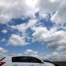 곰비님비 이미지