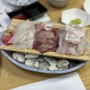 주문진항20 | 강릉 자연산 막회 맛집 ‘주문진항샵20’ 후기