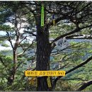 환희2리 이미지