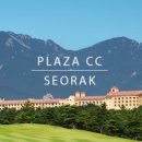 대우카프라자 이미지