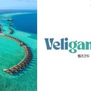 팜밸리리조트 이미지