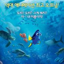 도리미디어 이미지