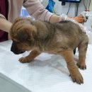 삼남면행정복지센터 이미지