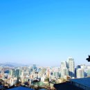 대성사목불좌상 이미지