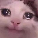 맘존 여성병원 이미지