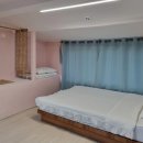 핑크로즈553 이미지