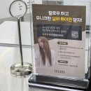 압구정로데오 미용실 멈 슬릭펌 반곱슬 후기 (채연쌤)
