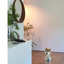 빵귤맨숀 이미지