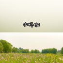 강매동 석교 이미지