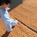 승현목장 이미지