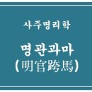쌍미