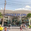 만 수 정 이미지