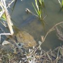 배다리낚시터 이미지