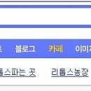 다음 리톱스검색 1위가 우리 카페가 되었어요 이미지