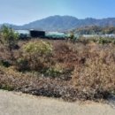 삼청목장2 이미지