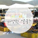 주천 5일장 이미지