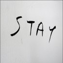 STAY(스테이) 이미지