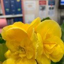 (주)지엔히어링코리아 이미지