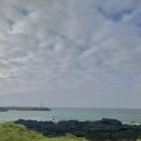 오월에제주