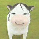 영원클린풀 | [국내 여행] 전북 군산 여행 뚜벅이의 1박2일 8월의 크리스마스 제대로 즐겨버리기 - 1