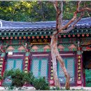 서고사