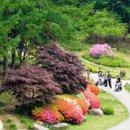 고요부부농장 이미지