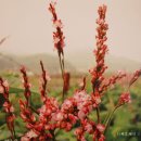 어름박골 쪽빛마을 이미지