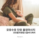 4개월 모유수유 단유 출장가슴마사지 후기 맘스홈바디케어