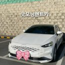 굿모닝카써비스 이미지