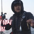 The Hit Daum카페