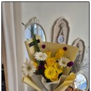 레플레르 이미지