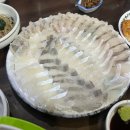 이모활어횟집 이미지