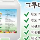 티엔글로벌 이미지