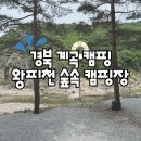 왕피천 숲속 캠핑장 | 경북 계곡캠핑장 왕피천 숲속캠핑장 내돈내간 방문후기
