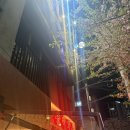 얼씨구 김치찌개.꽃도리탕 | 합정역 술집 동백가옥 합정점 다녀온 후기 합정 데이트로 추천!