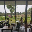 헌치 게스트하우스 이미지